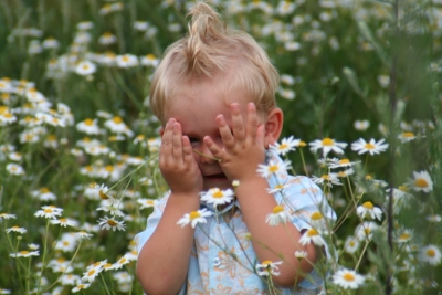 Kleines Mädchen versteckt sich in Blumenwiese