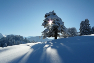 Winterlandschaft