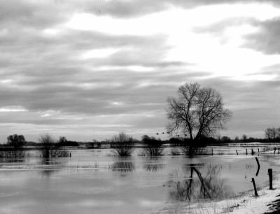 Winterlandschaft