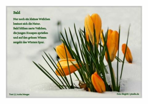 Foto-Gedicht zum Frühling 