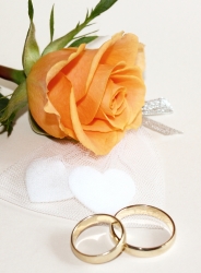 Hochzeitsdekoration - Gelbe Rose und Eheringe