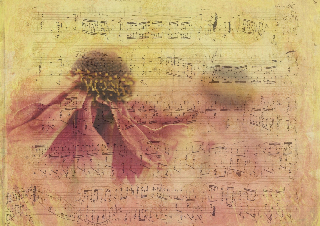 Notenblatt romantisch mit Blüte