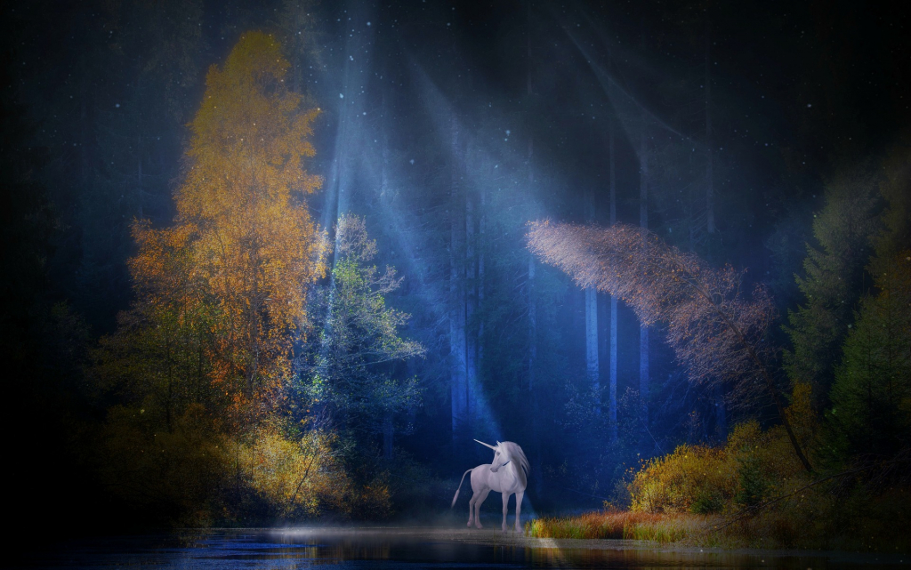 Einhorn im Mondlicht