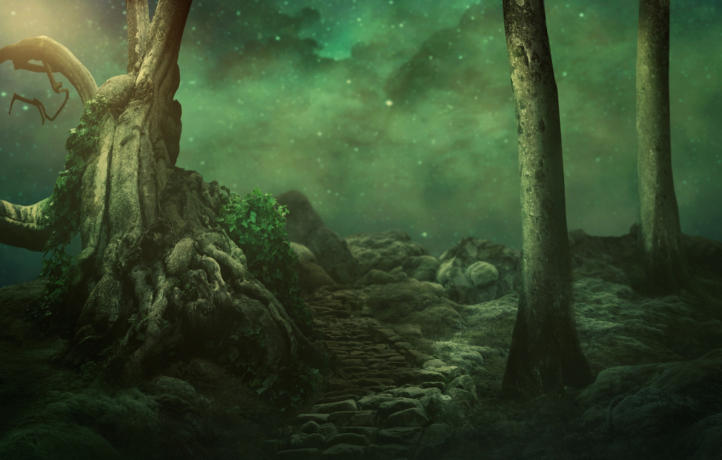 Mystischer Wald