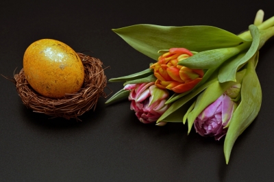 Oster-Dekoration mit gelbem Osterei im Nest und Tulpen