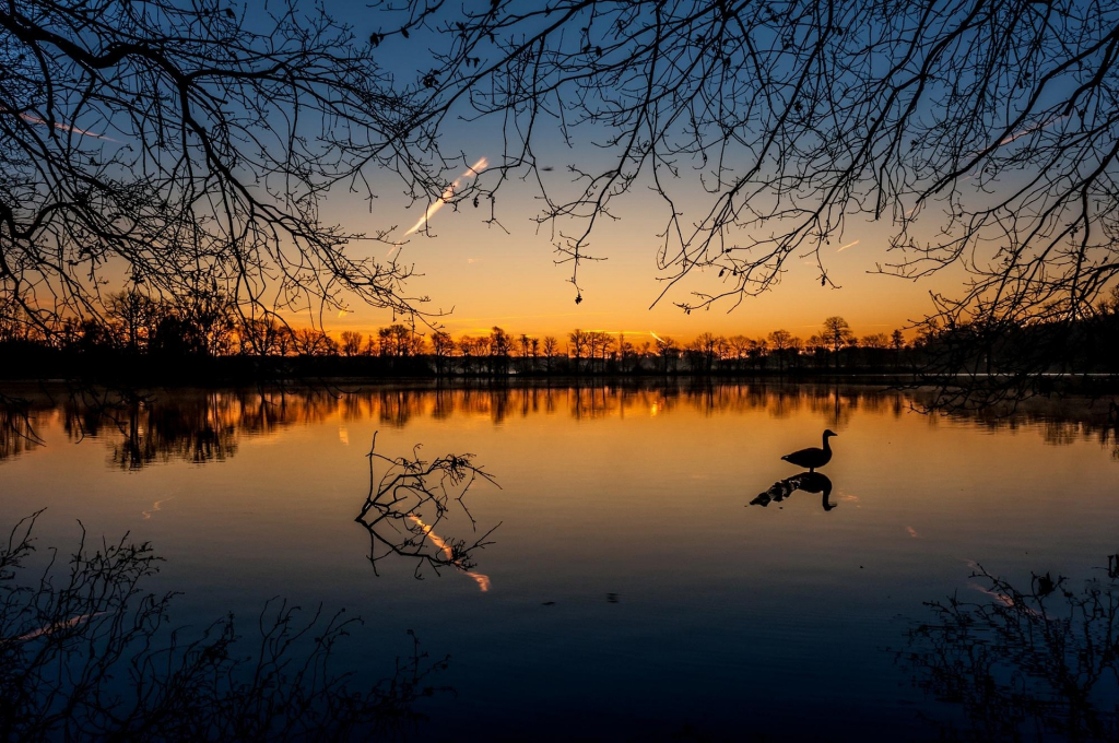 Morgenstimmung an einem See