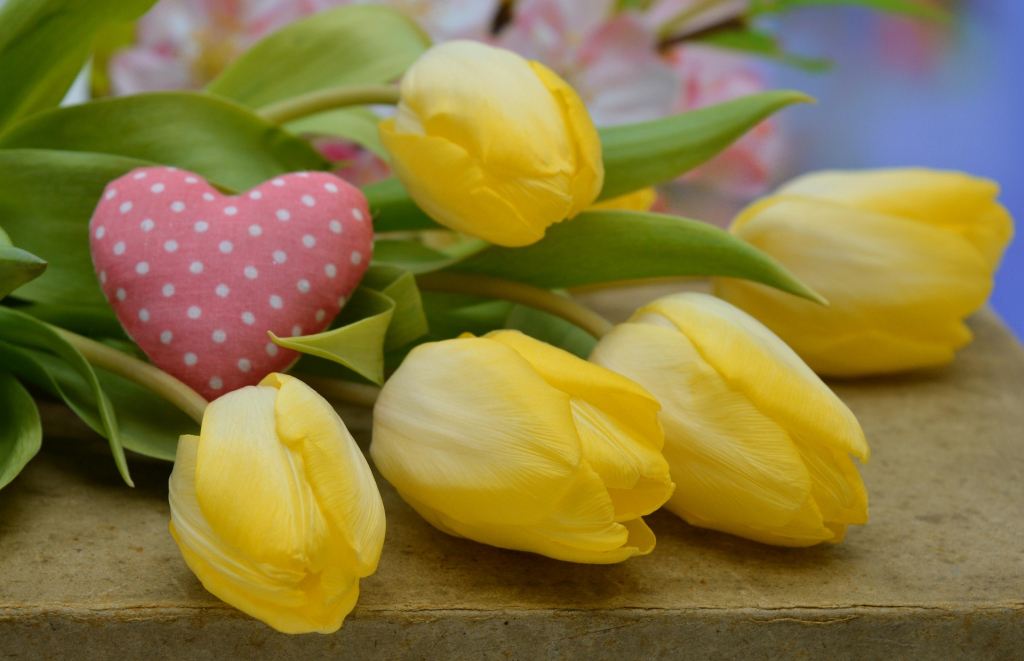 Muttertag gelbe Tulpen mit rosa Herz