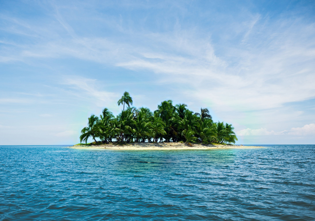 Palmeninsel im Meer