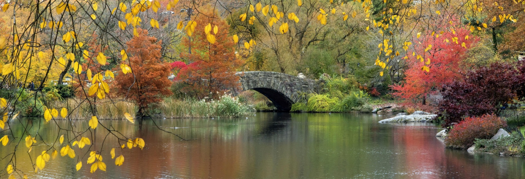 Herbstlandschaft mit See und Brücke