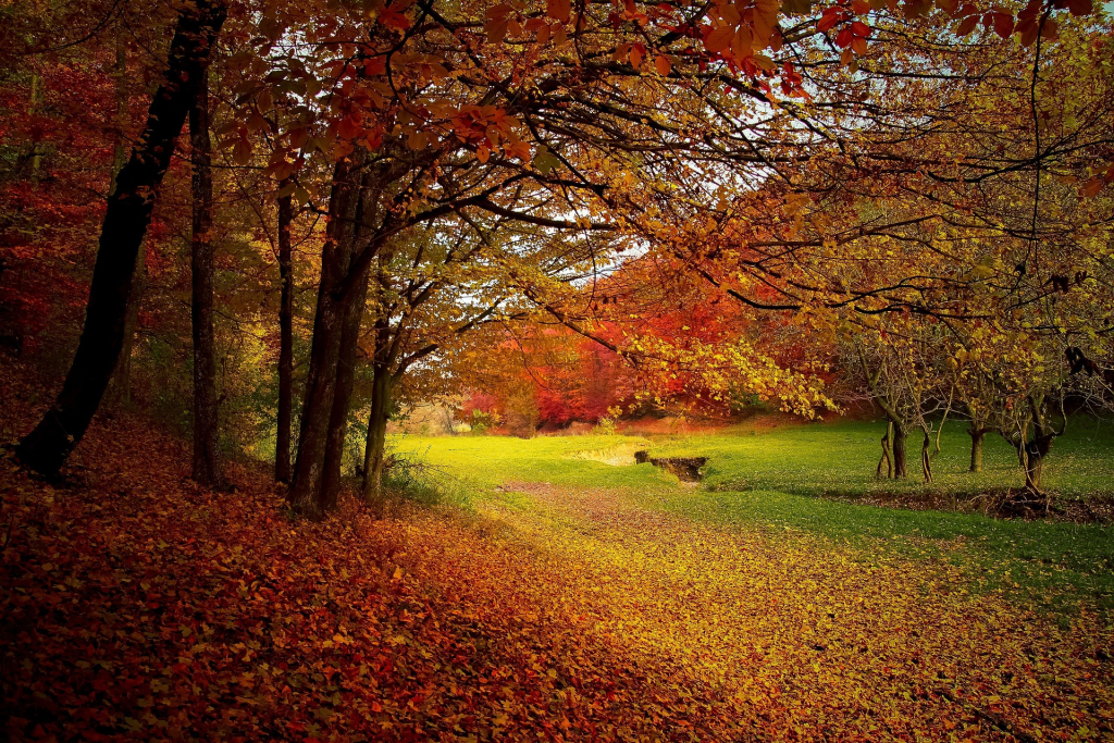 Herbstliche Landschaft 